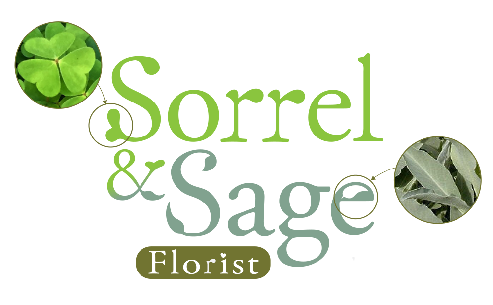 Infographic highlighting the serifs on the Lettering which were inspired by the shape of the sorrel and sage leaves.